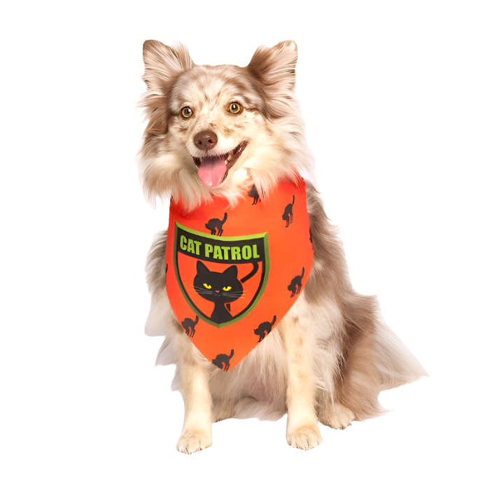 pattuglia di gatti halloween