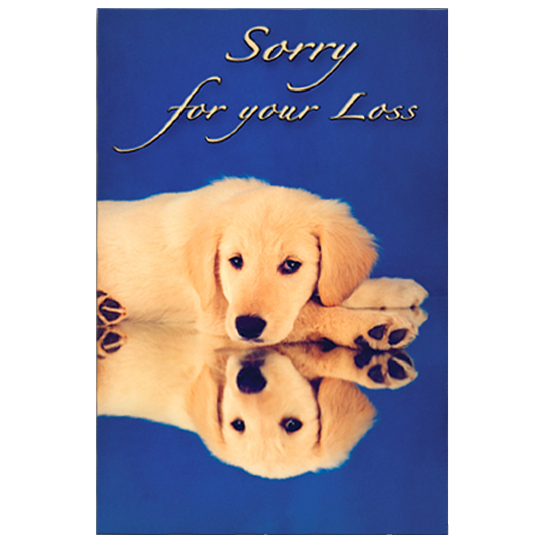 Sorry For Your Loss Golden Design Grievance Card