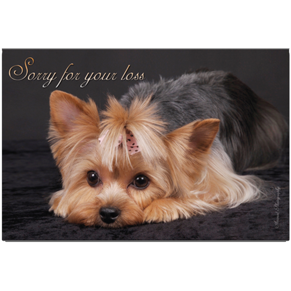 Sorry For Your Loss Yorkie Design Grievance Card